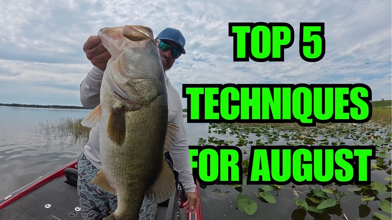 YouTube thumbnail for Lake Toho Top Baits for August | Lake Toho Fishing Report for August