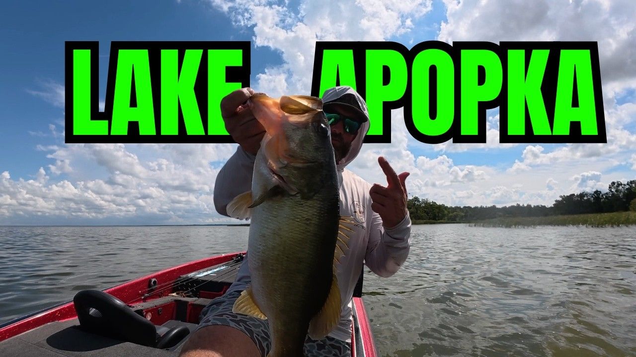 YouTube thumbnail for Harris Chain Bass Fishing | Lake Apopka